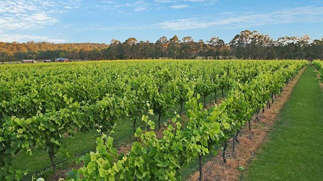 Hunter Valley: Far from the Madding Crowd